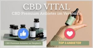cbdvital top3 cbd marke 6401 - 2020 CBD Angebote - Coupons - Schnäppchen - | Archiv